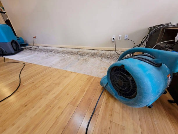 Professional Water Removal technician working in Norwalk, CA
